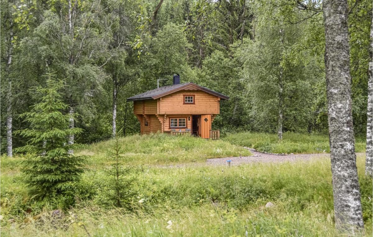 Amazing Home In Årjäng With Kitchen