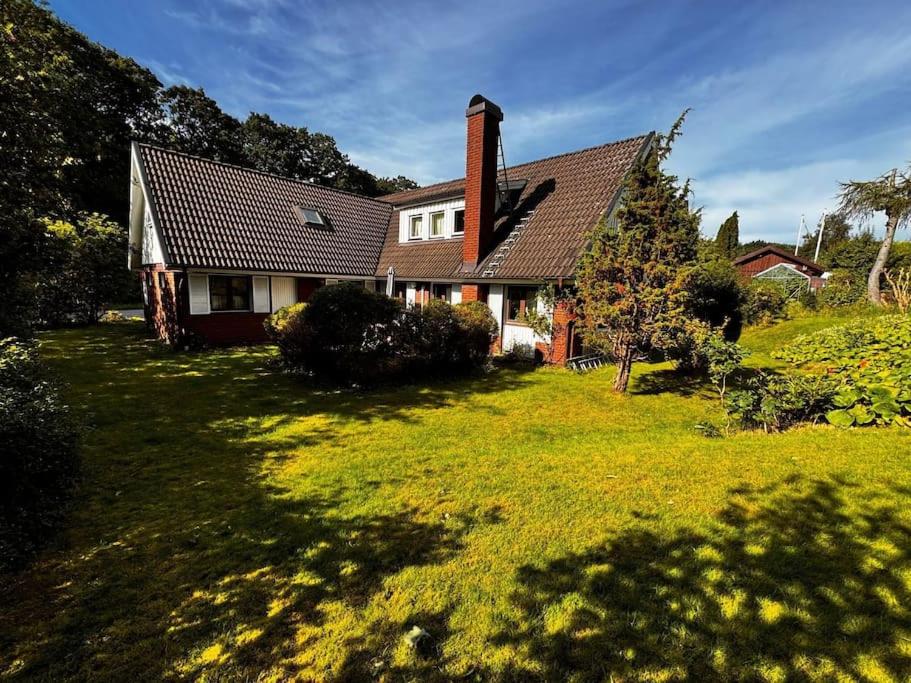 Cozy apartment Free parking