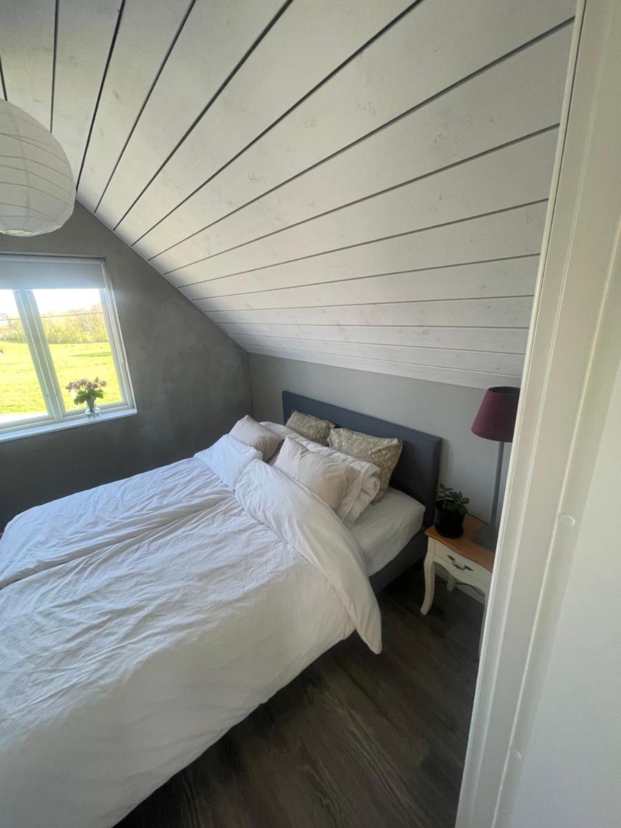 Scandinavian Haven