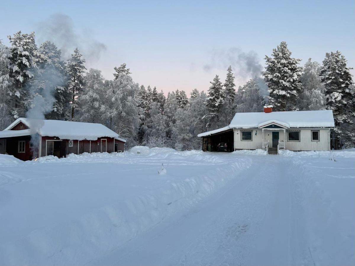 Sixty Six Degrees North - Lapland Home & Forest